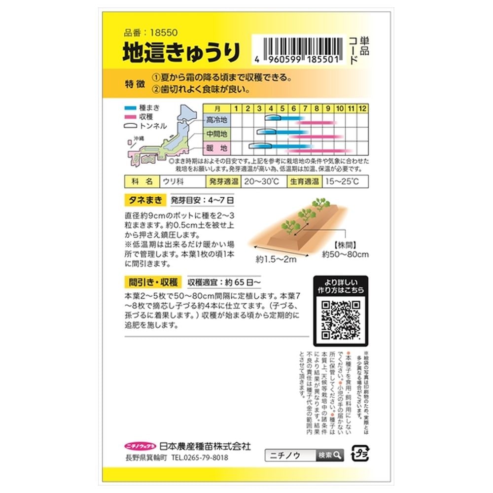 きゅうり 地這きゅうり 露知らず 1