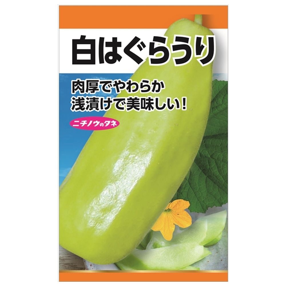 ウリ 白はぐら瓜 