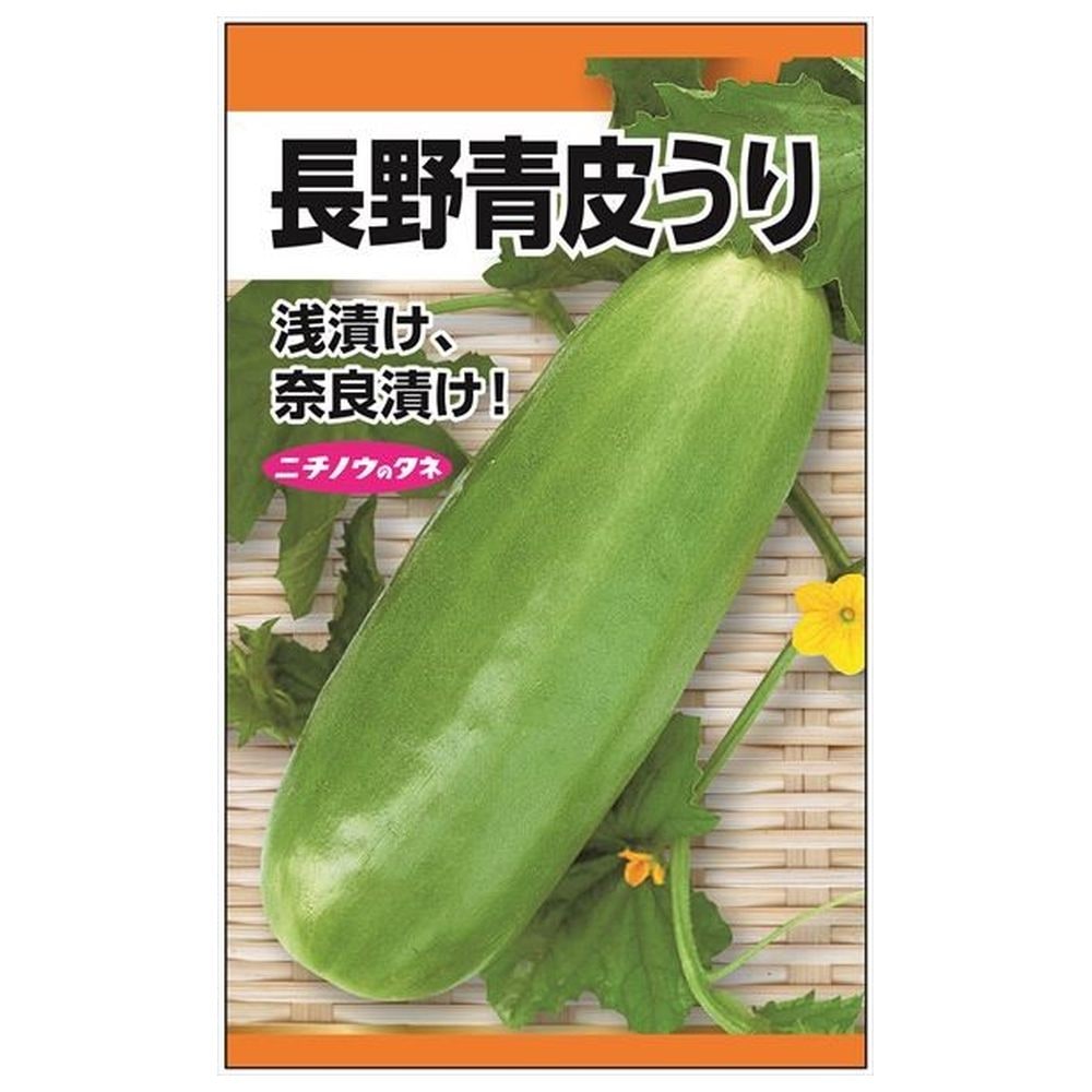 ウリ 長野青皮うり 