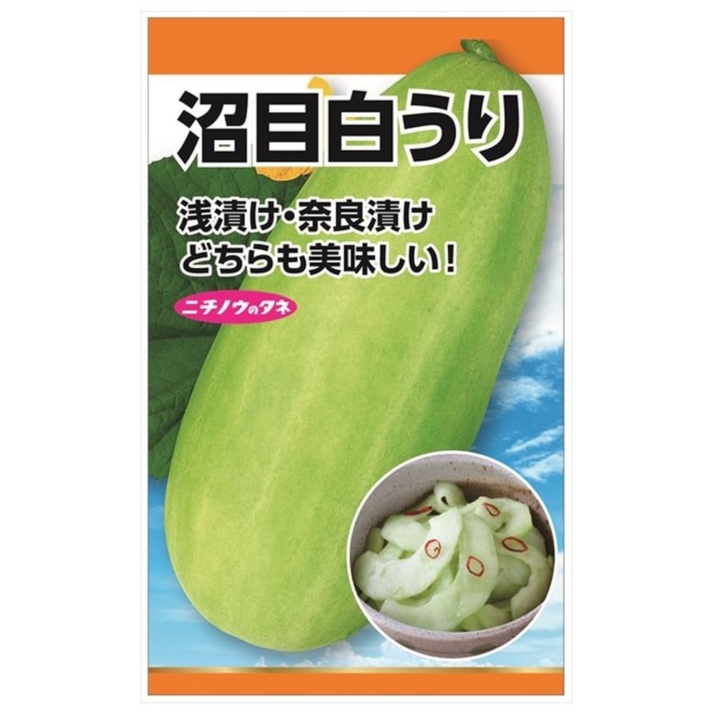 ウリ 沼目白うり 