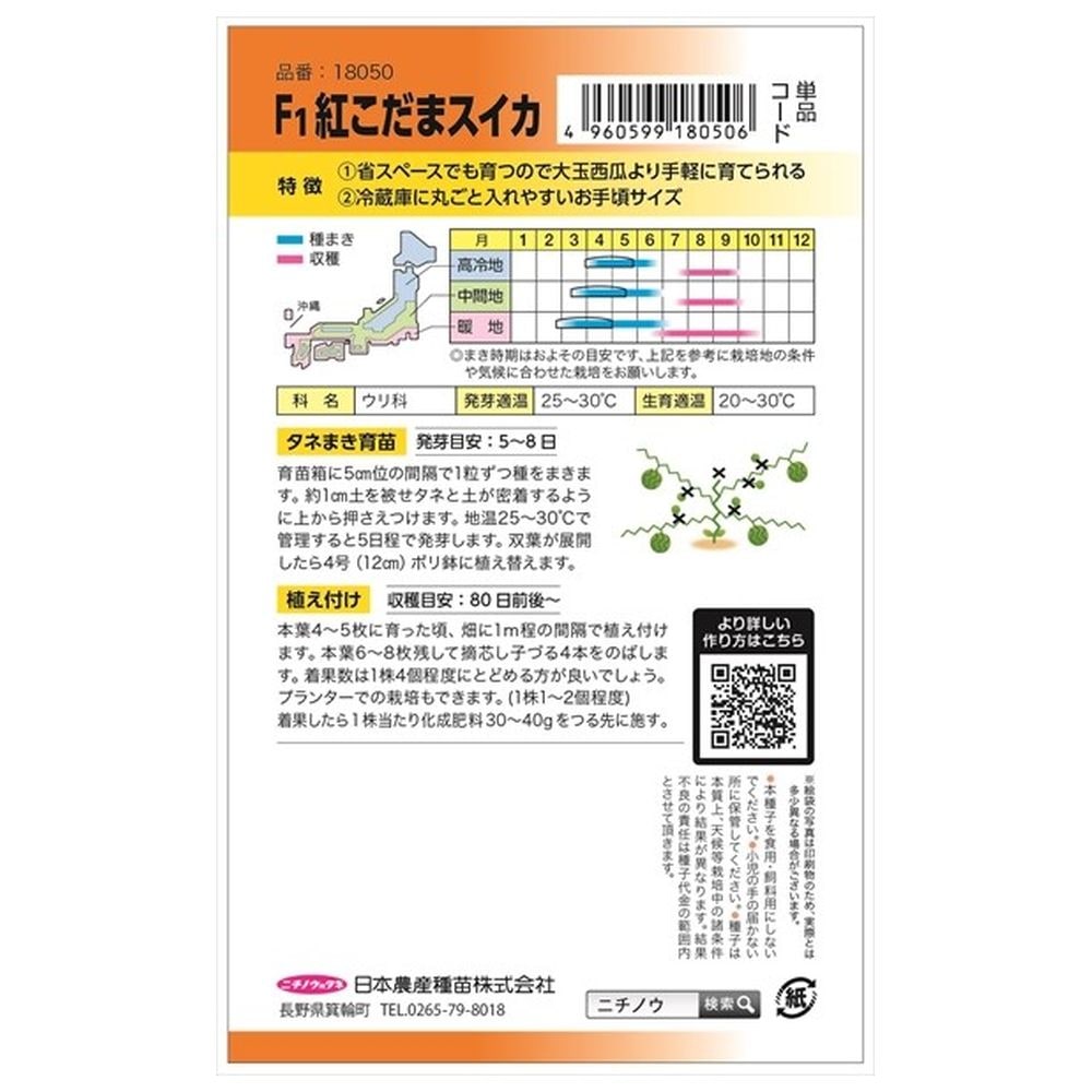 スイカ 紅こだま 2