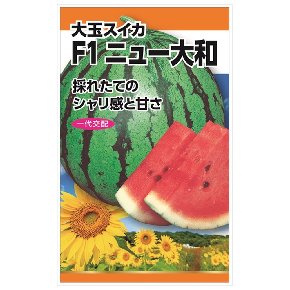 スイカ ニュー大和 