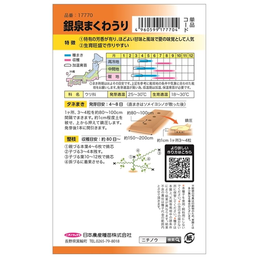 ウリ 銀泉まくわ 2