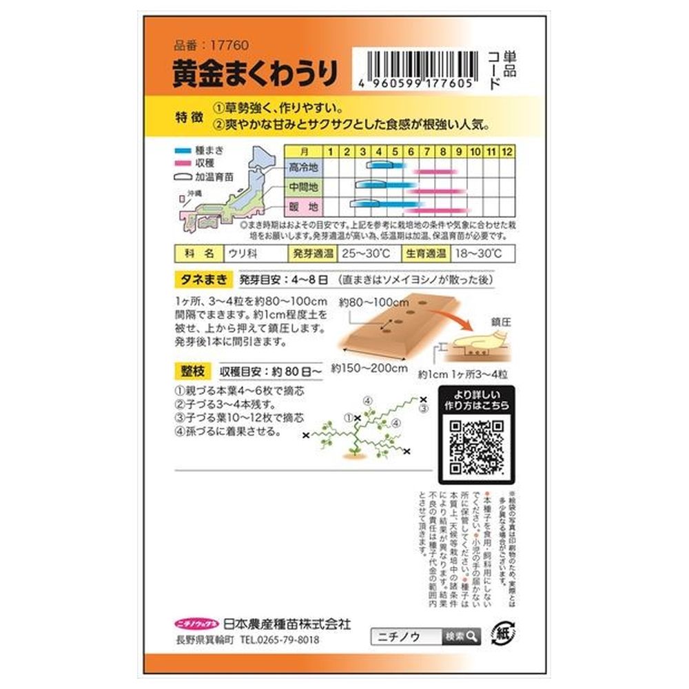 ウリ 黄金まくわうり 1