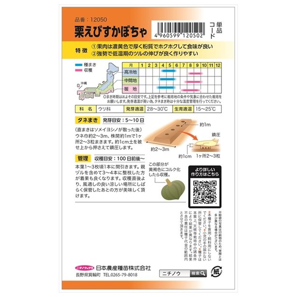 かぼちゃ 栗えびすかぼちゃ 1