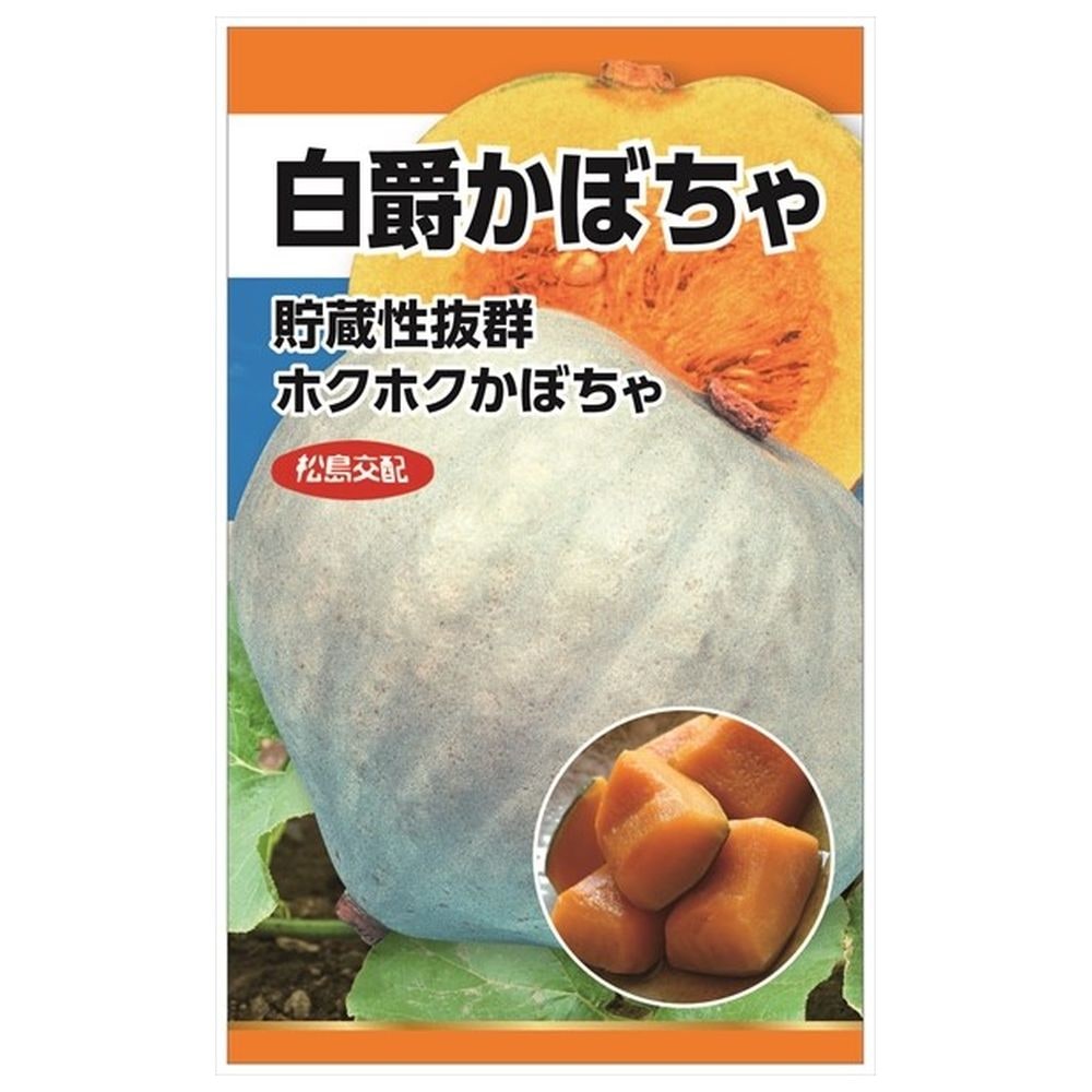 かぼちゃ 白爵かぼちゃ 苗 販売 苗木部 By 花ひろばオンライン