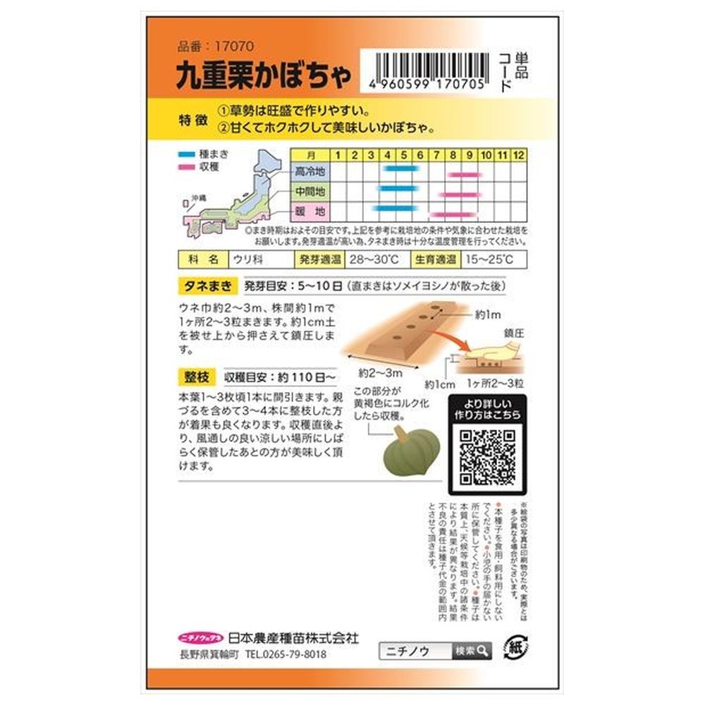 かぼちゃ 九重栗かぼちゃ 1