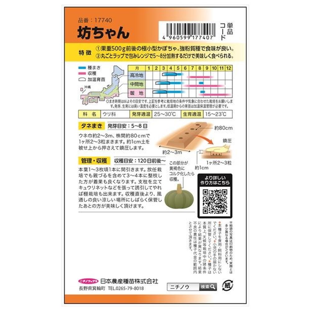 かぼちゃ 坊ちゃんかぼちゃ 1