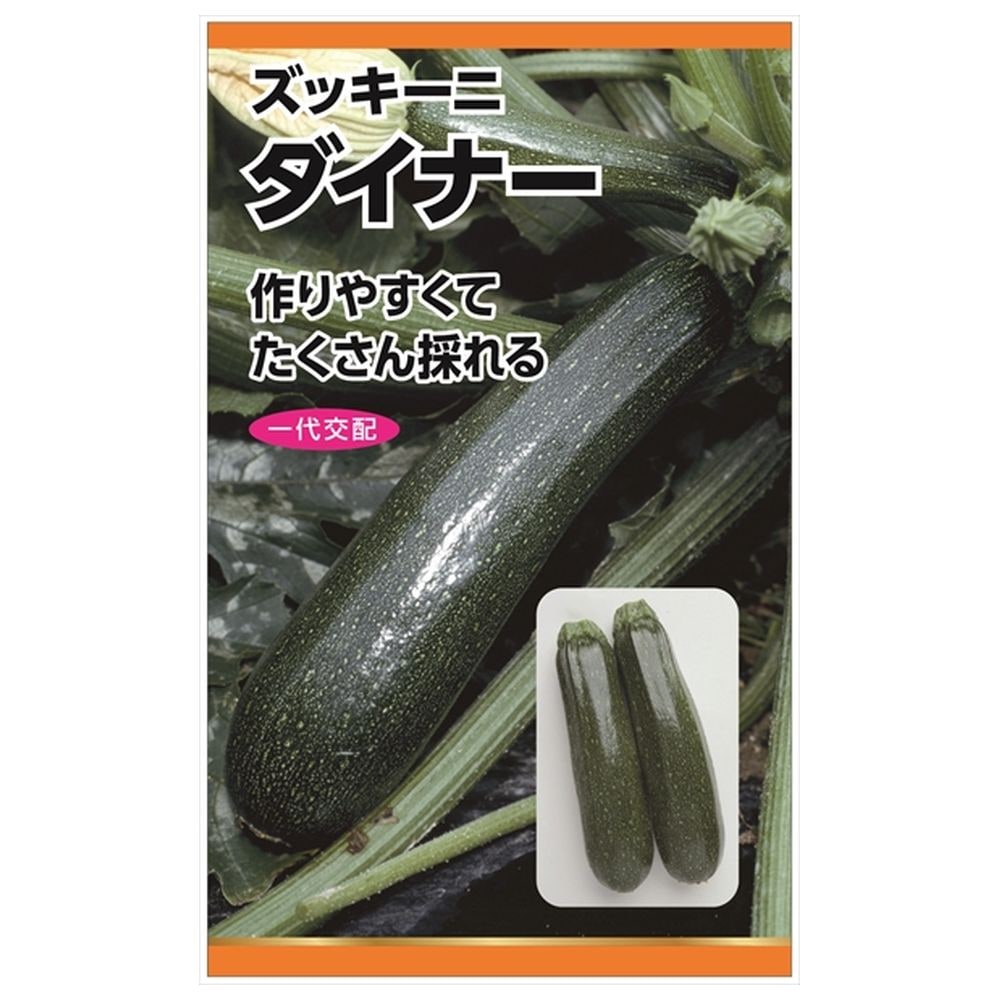 ズッキーニ ダイナー 