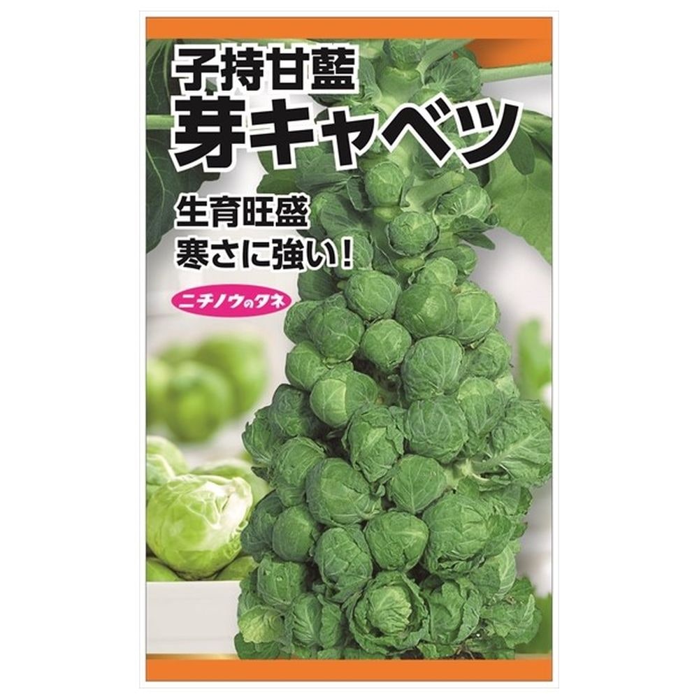 キャベツ 芽キャベツ 