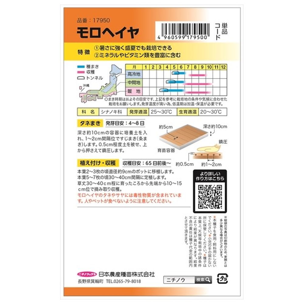 葉菜 モロヘイヤ 1