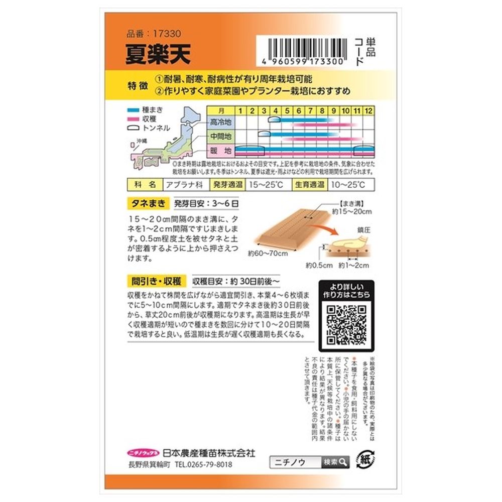 小松菜 夏楽天 1