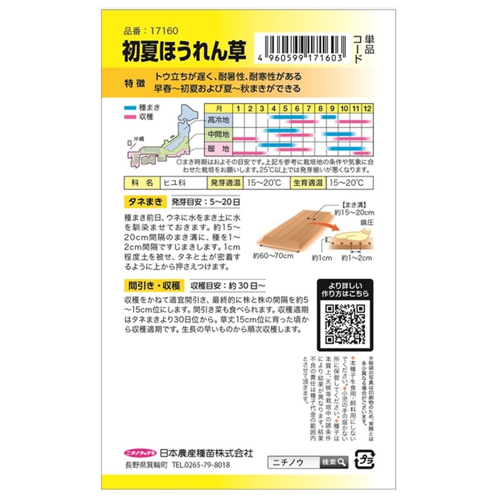 ホウレンソウ 初夏ほうれん草 1