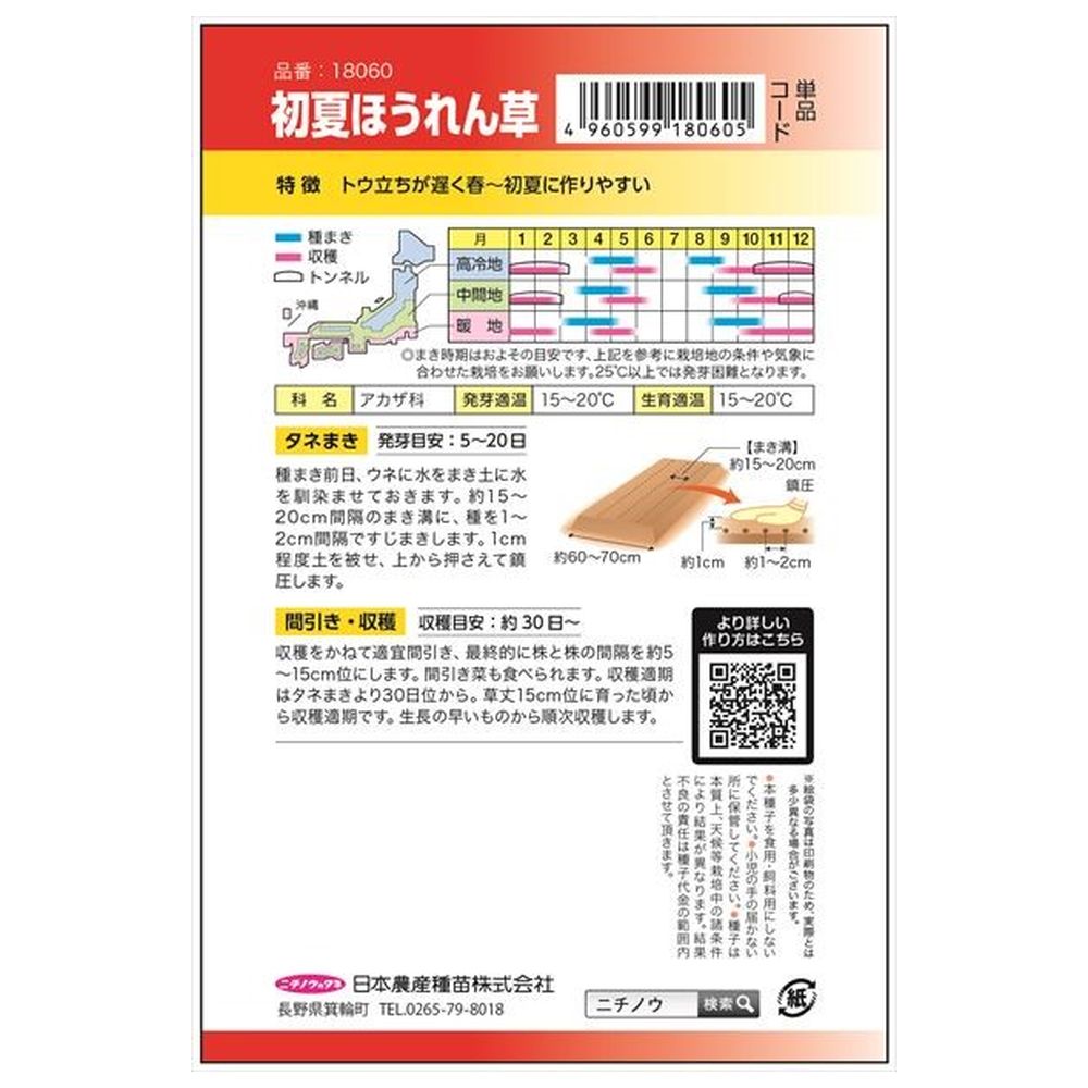 ホウレンソウ 初夏ほうれん草 1