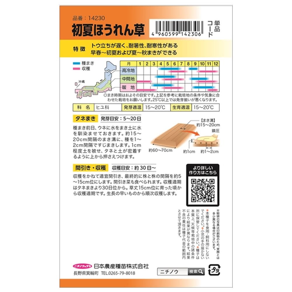 ホウレンソウ 初夏ほうれん草 1