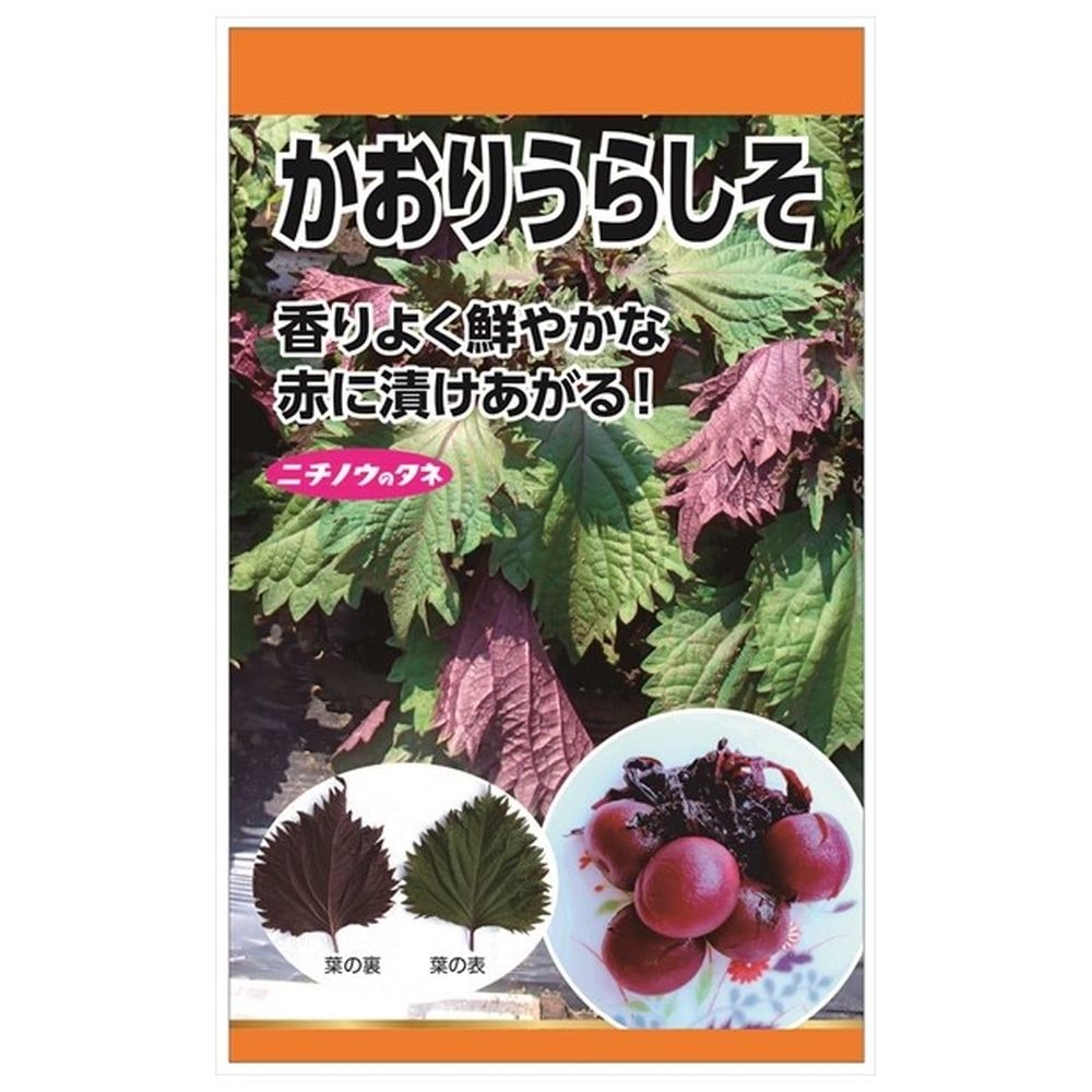 しそ かおりうらしそ 