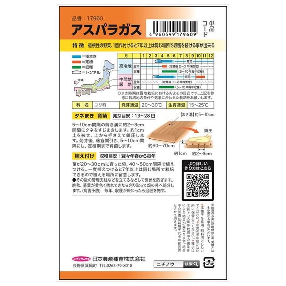 アスパラガス  1