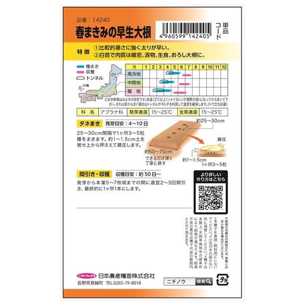 大根 春まきみの早生大根 1