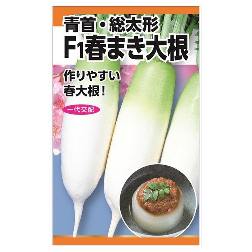 大根 春まき大根(青首･総太形) 