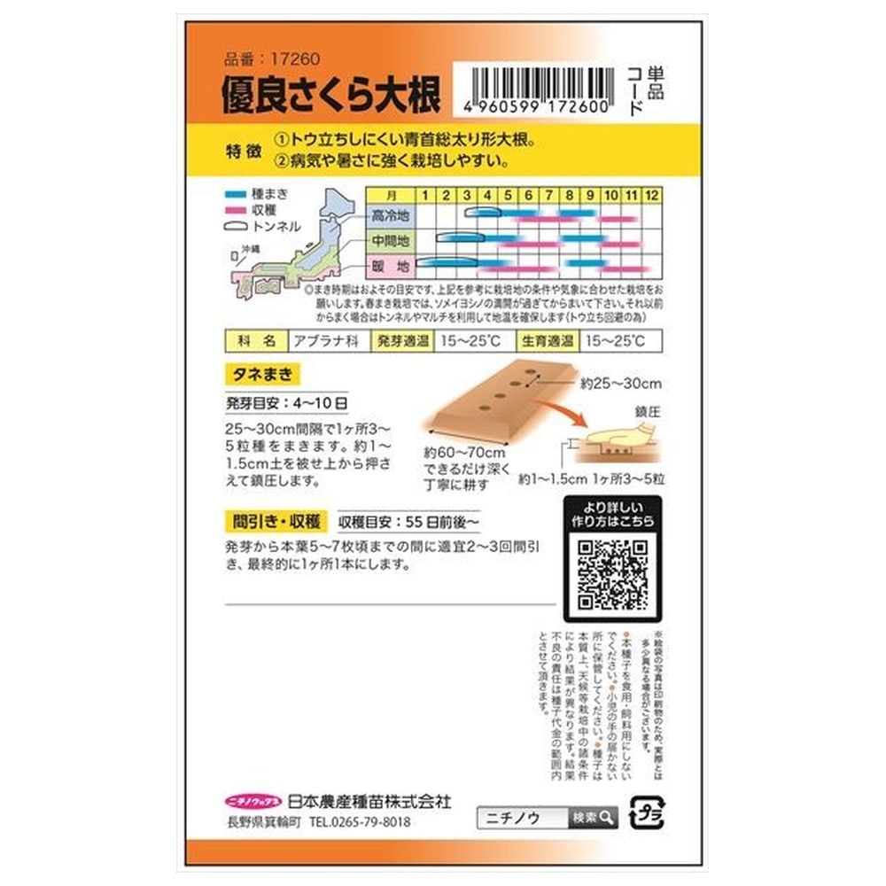 大根 優良さくら大根 1