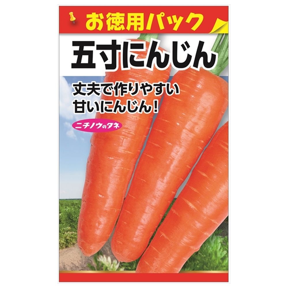 にんじん 五寸にんじん 