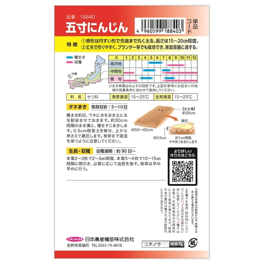 にんじん 五寸にんじん 1