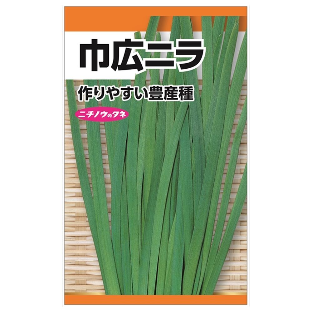 ニラ 巾広ニラ 