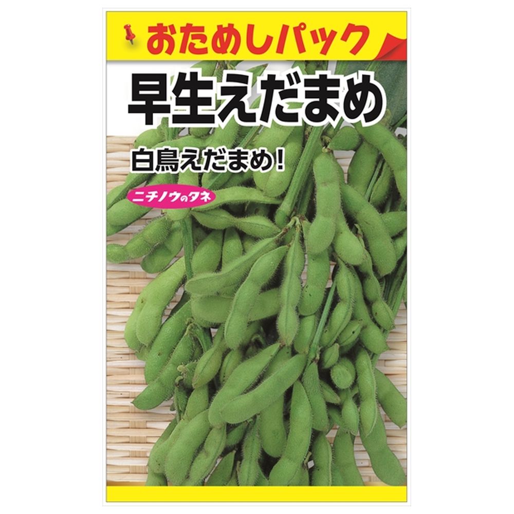 枝豆 早生えだまめ（白鳥） 