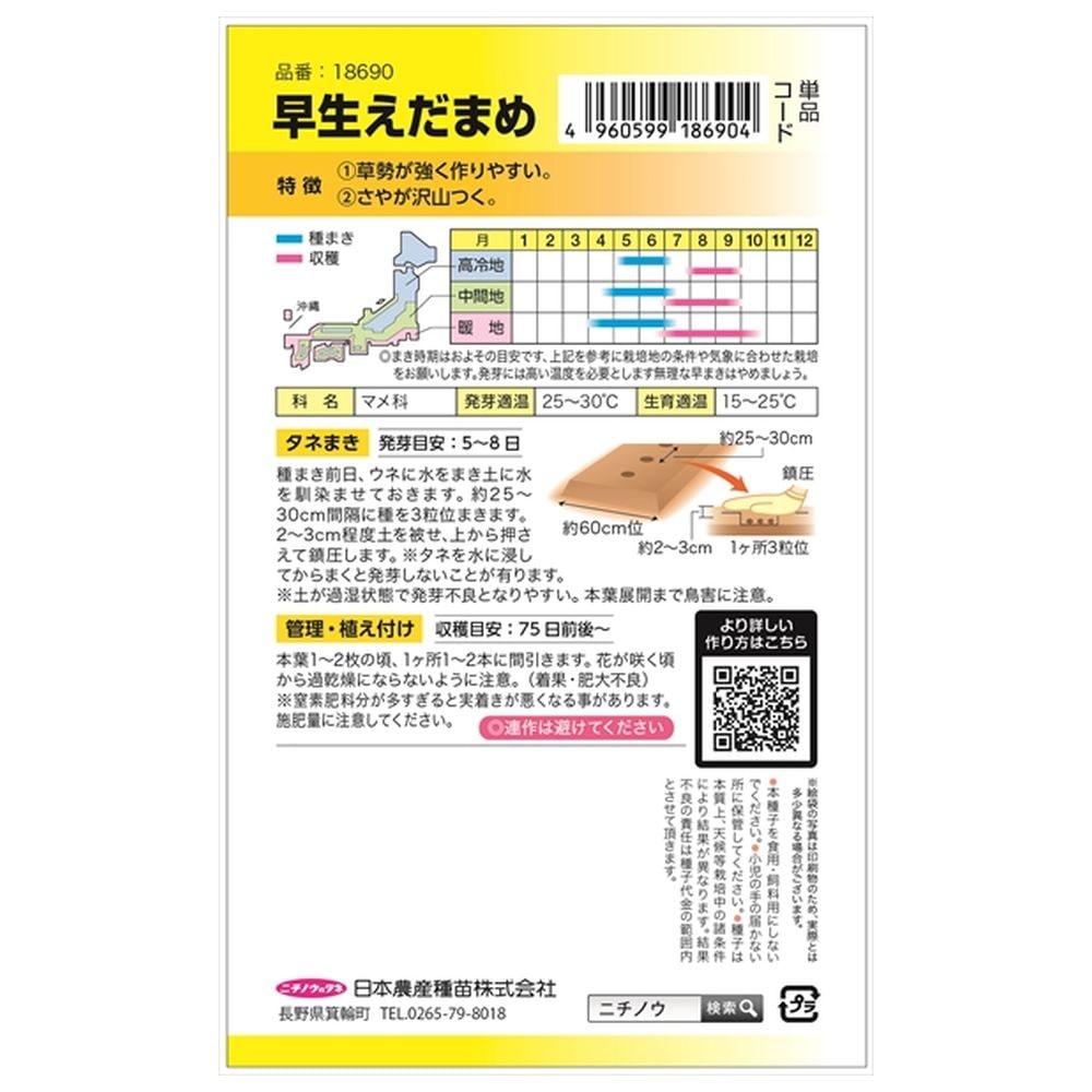 枝豆 早生えだまめ（白鳥） 1