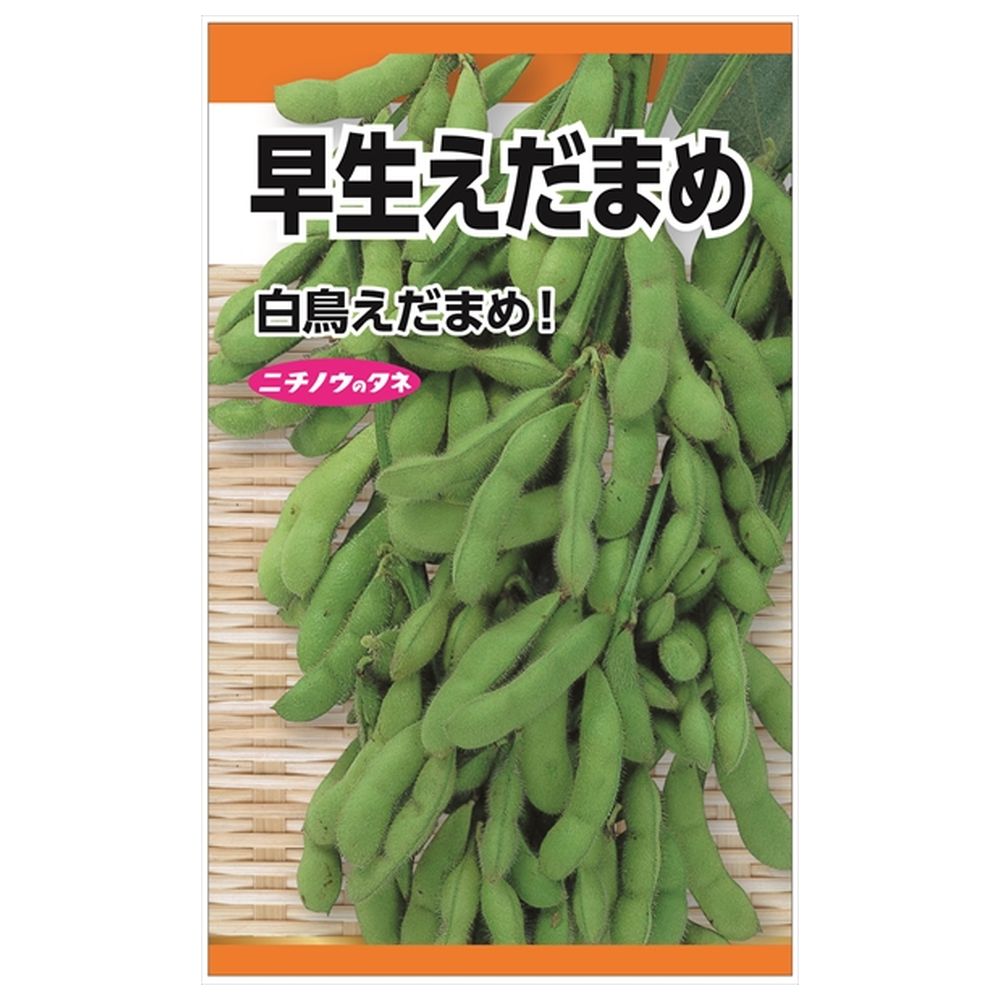 枝豆 早生えだまめ（白鳥） 
