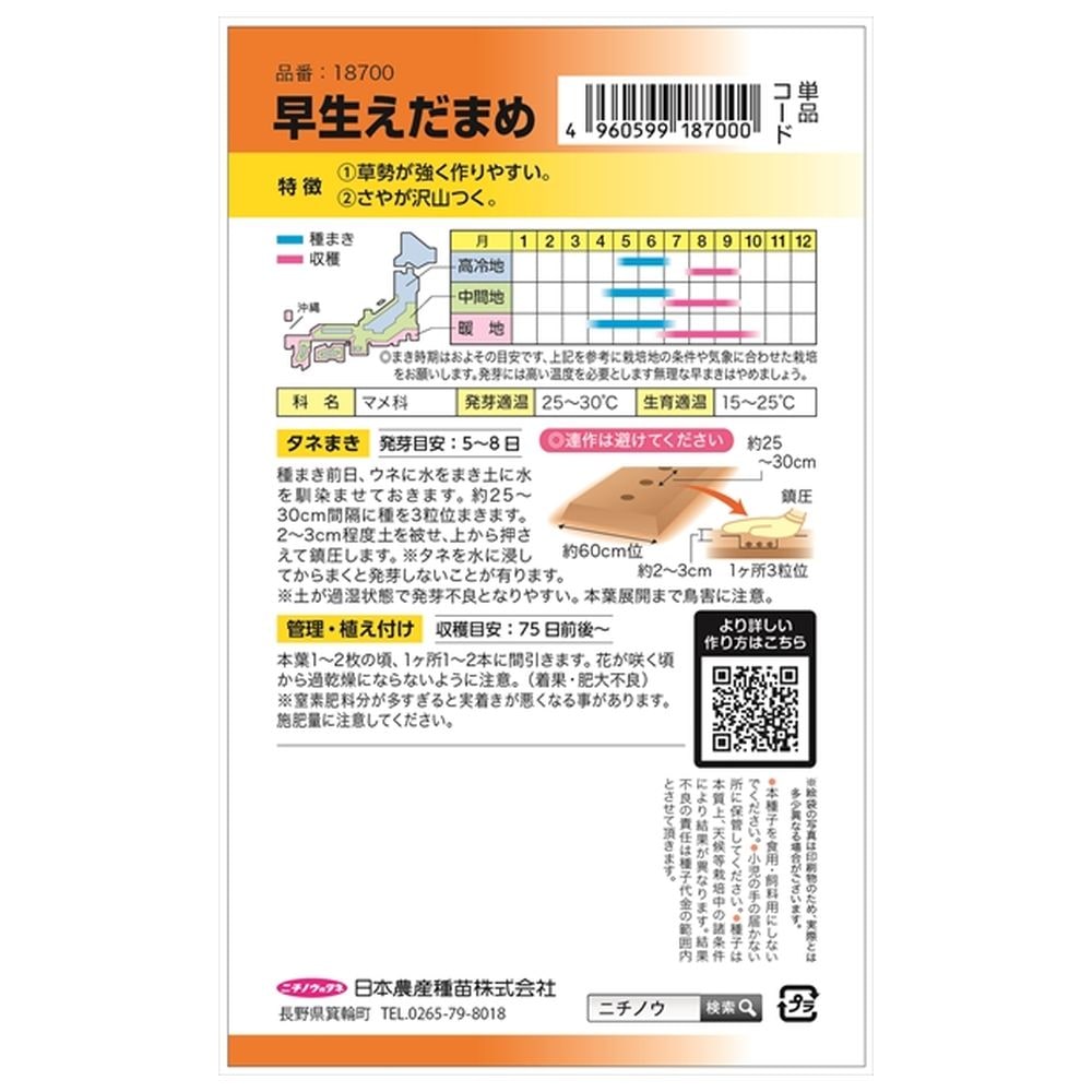 枝豆 早生えだまめ（白鳥） 1