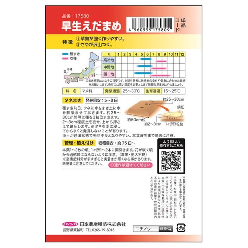 枝豆 早生えだまめ（白鳥） 1