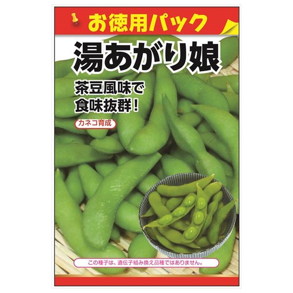 枝豆 湯あがり娘［登録品種：海外持出禁止（農林水産大臣公示有）］ 
