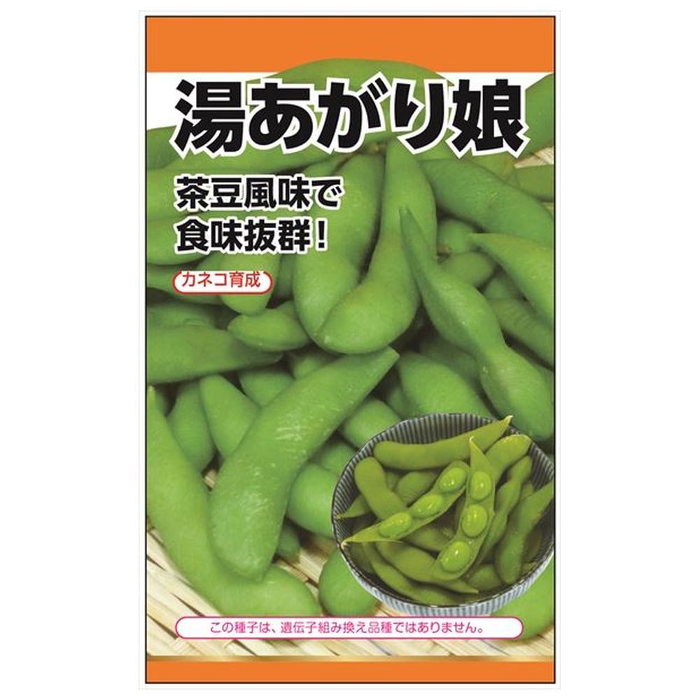 枝豆 湯あがり娘［登録品種：海外持出禁止（農林水産大臣公示有）］ 