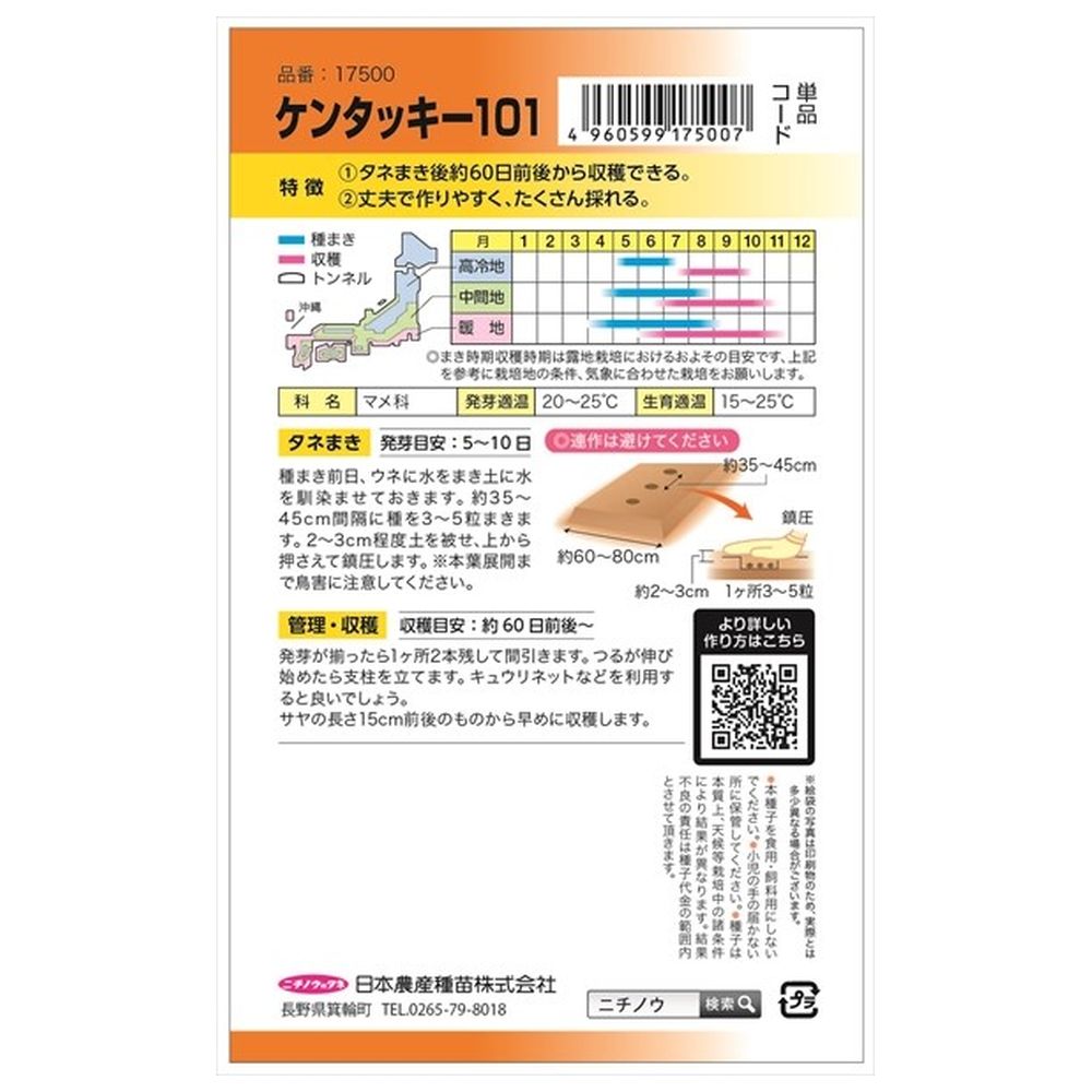 いんげん ケンタッキー101(つるありいんげん) 1