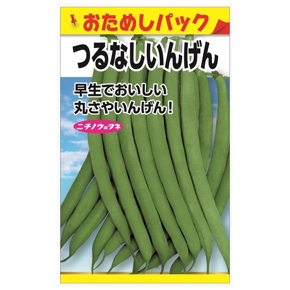 いんげん つるなしいんげん 