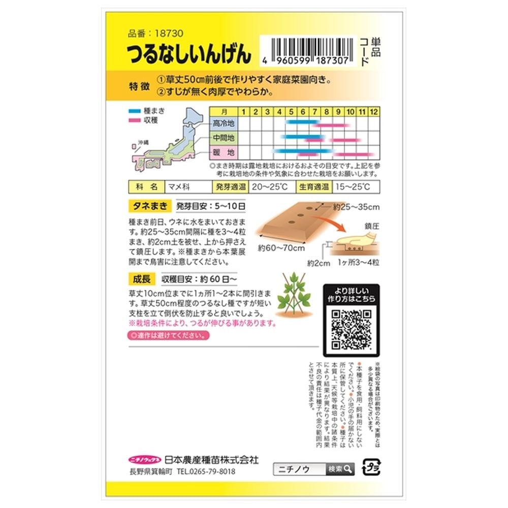 いんげん つるなしいんげん 1