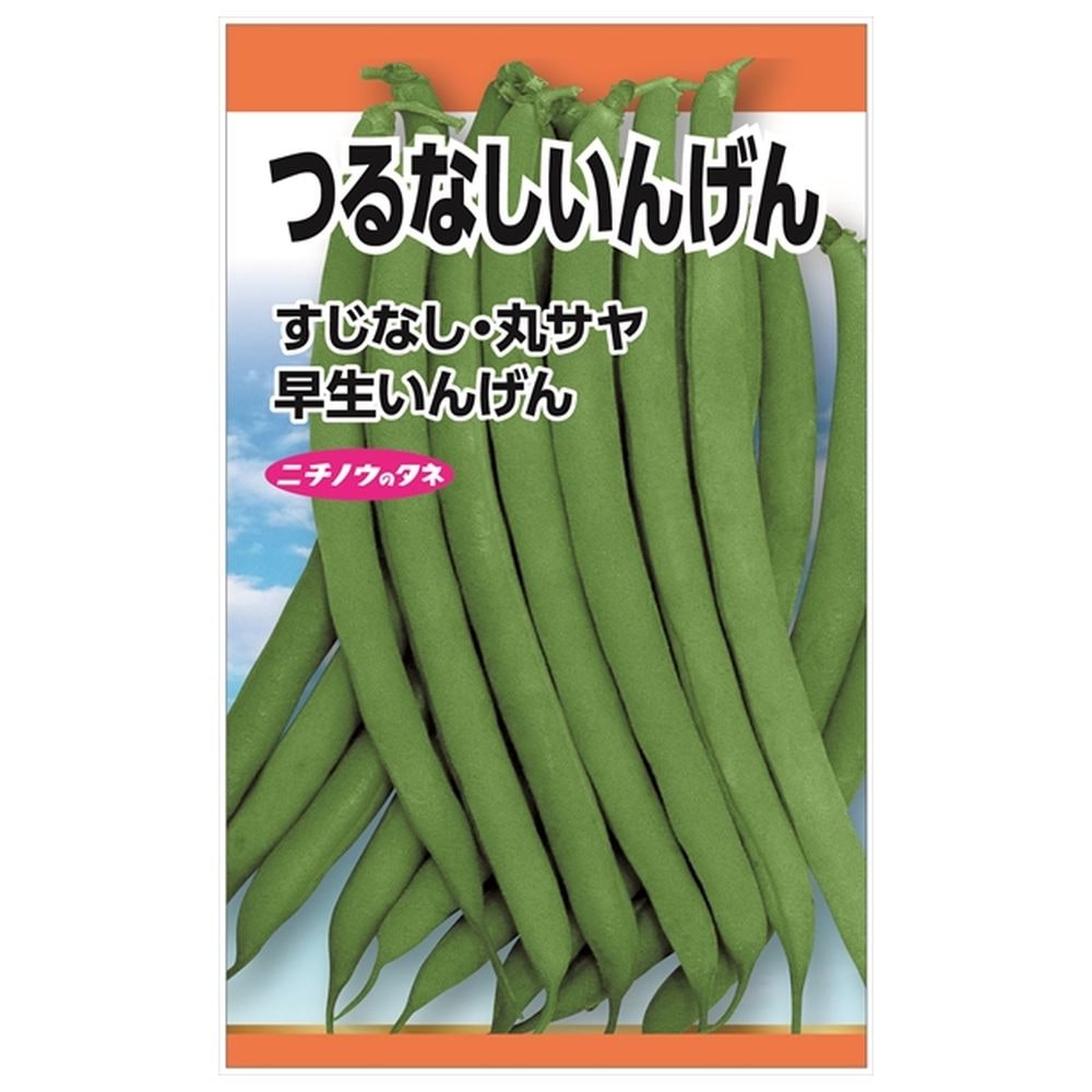 いんげん つるなしいんげん 