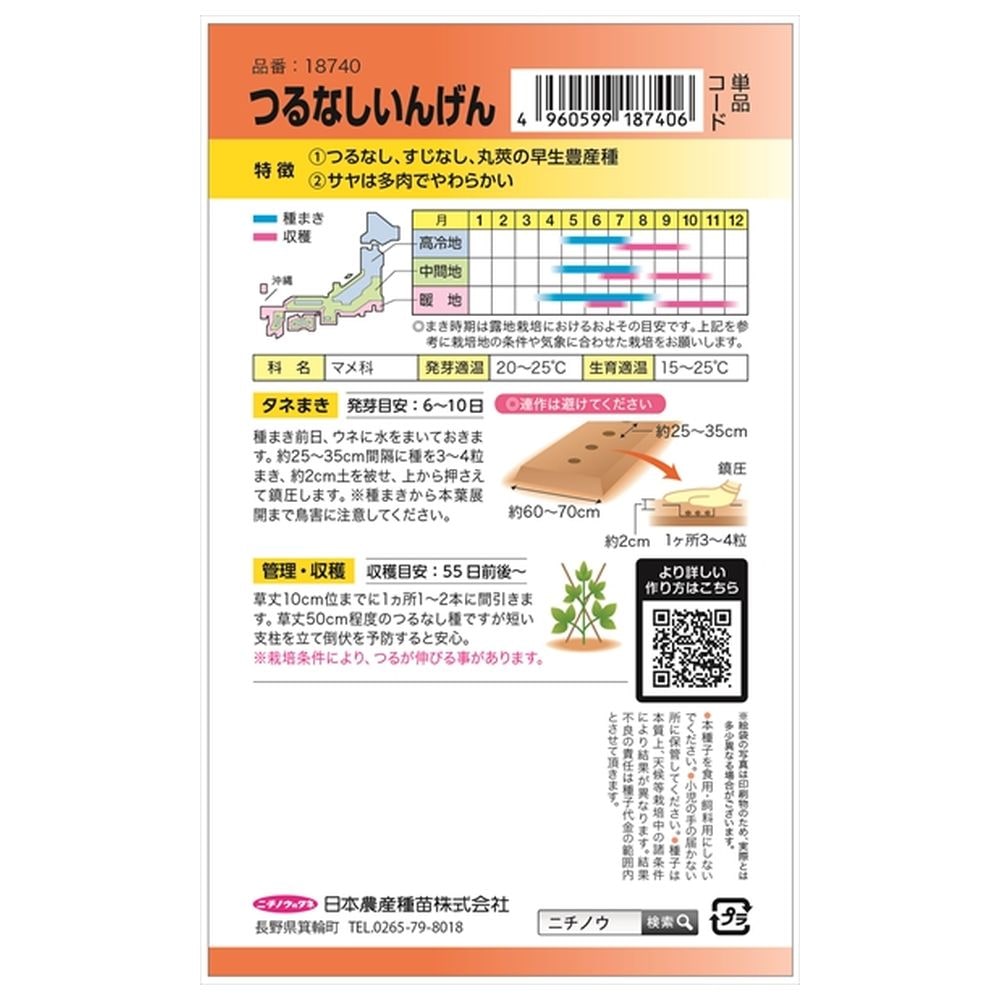 いんげん つるなしいんげん 1