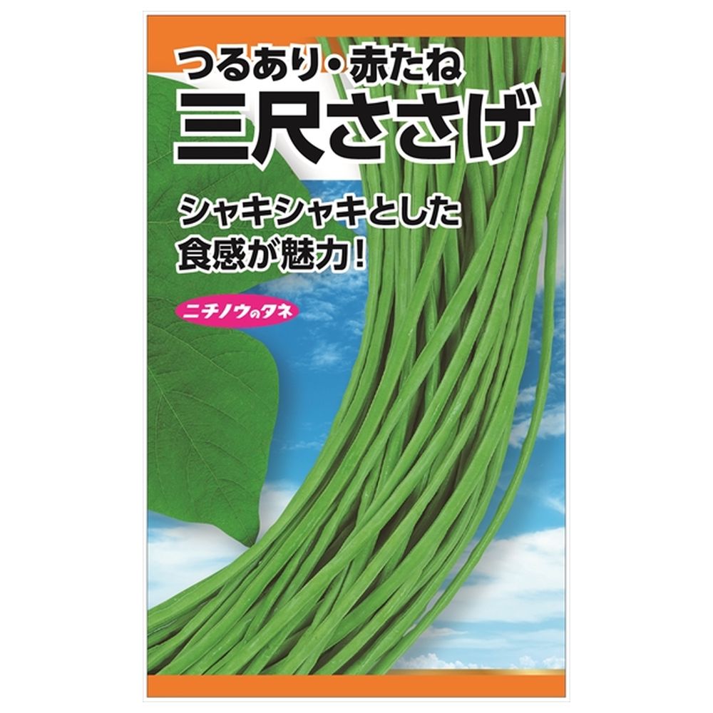 ササゲ 三尺ささげ 苗 販売 苗木部 By 花ひろばオンライン