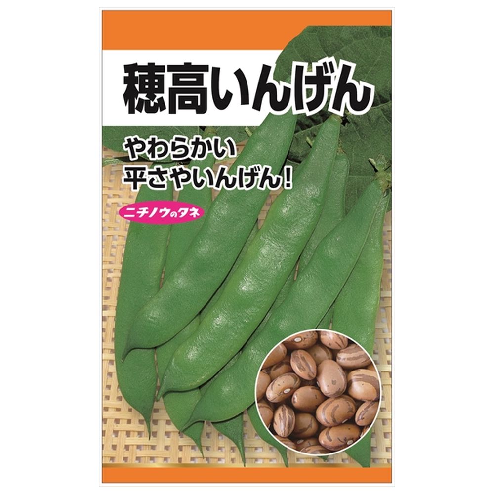いんげん 穂高いんげん 