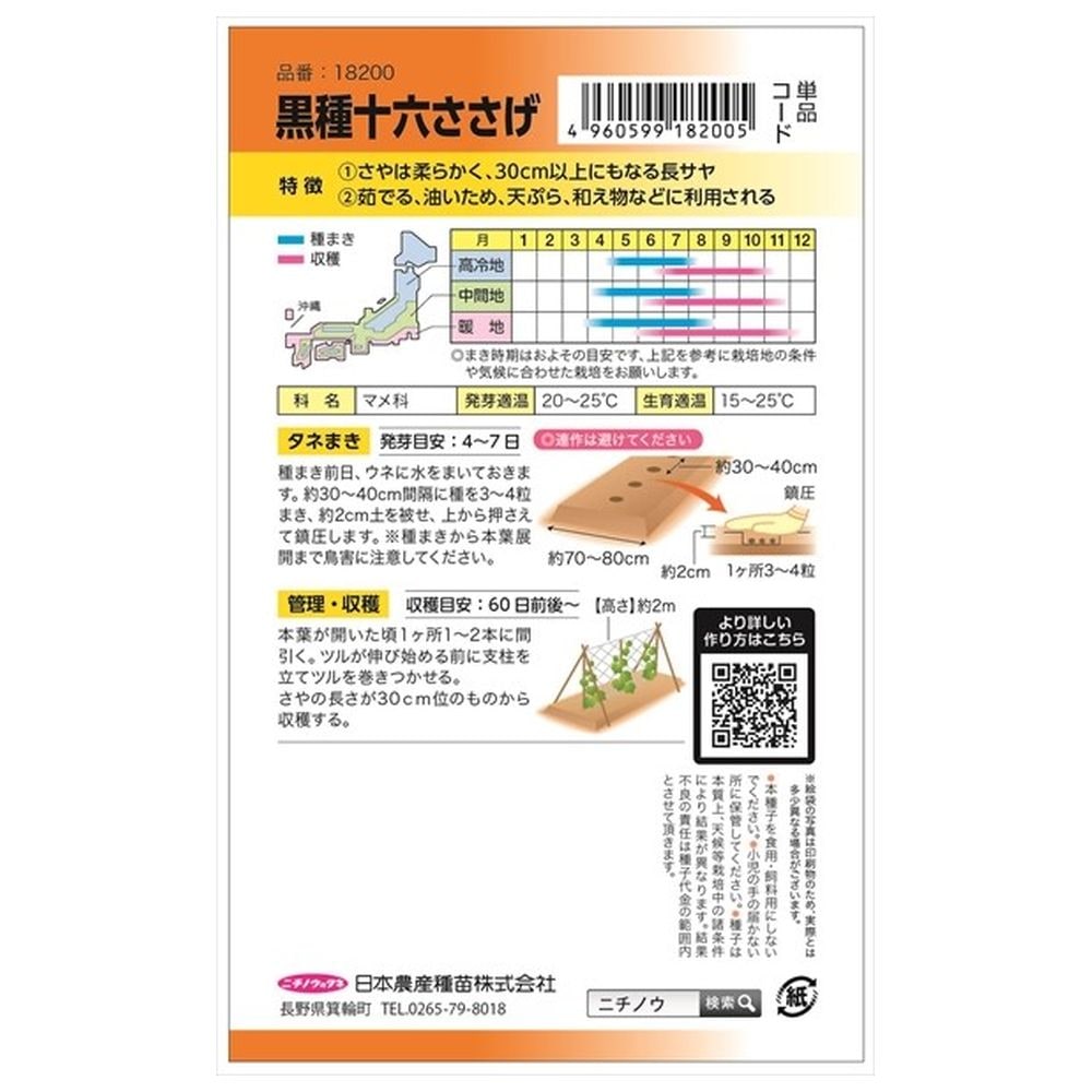 いんげん 十六ささげ 1