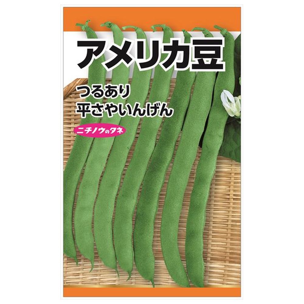 いんげん アメリカ豆 