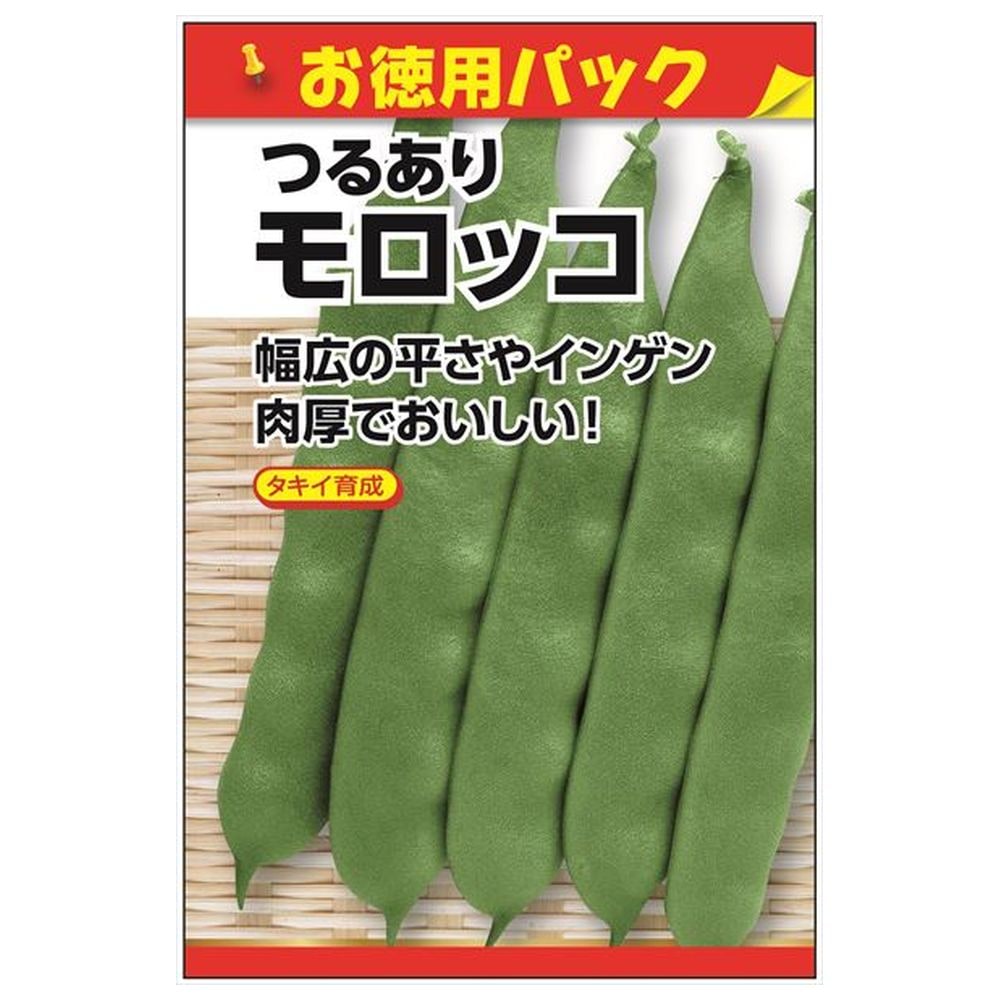 いんげん つるありモロッコ 