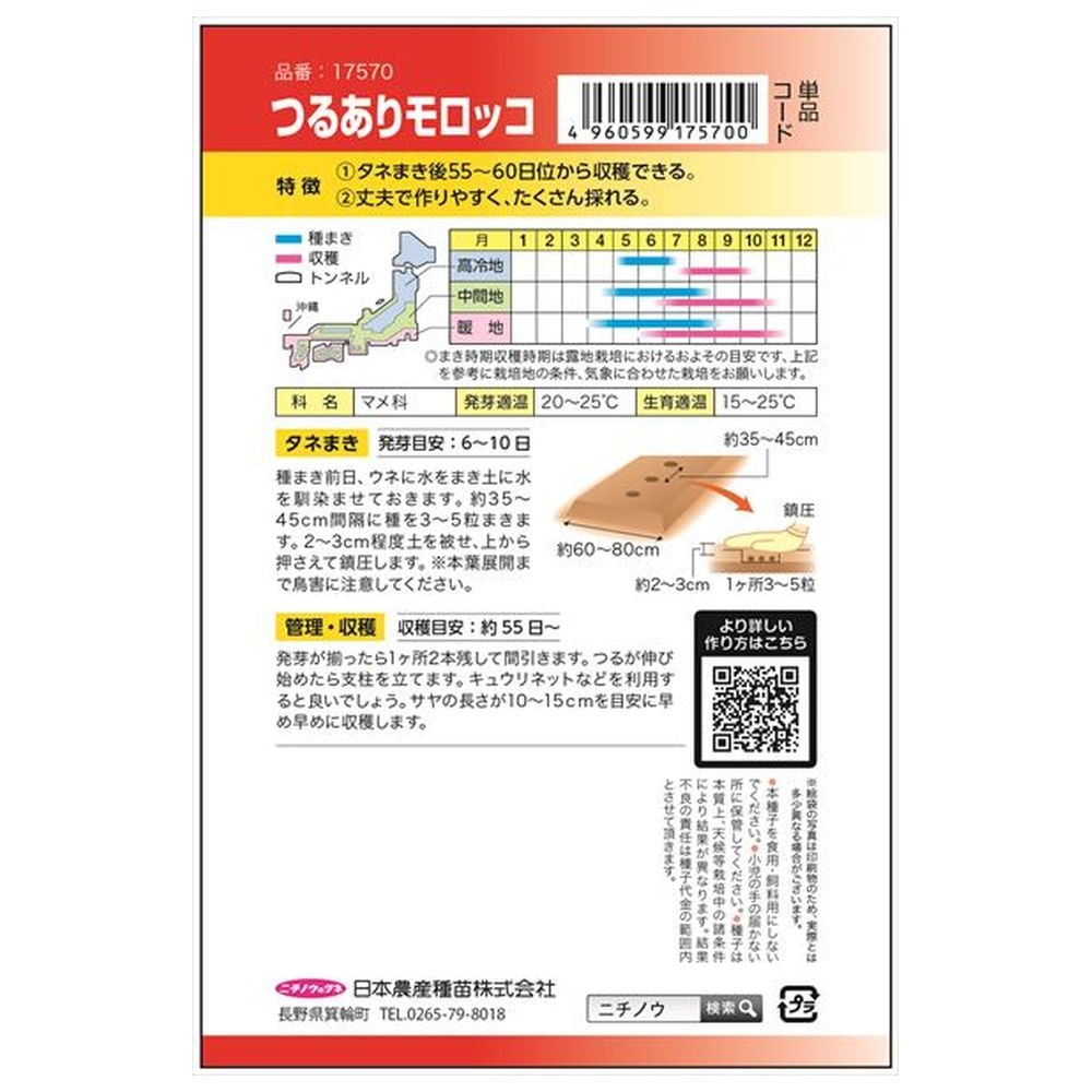 いんげん つるありモロッコ 1