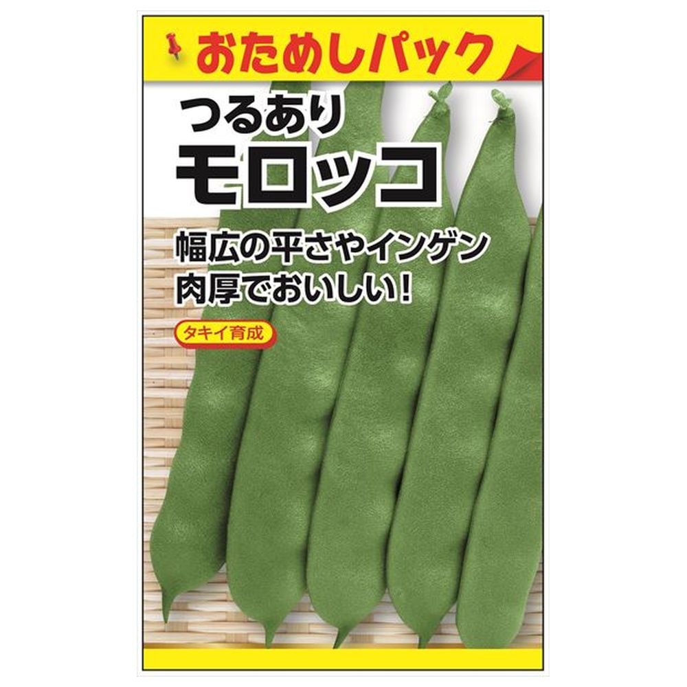 いんげん つるありモロッコ 