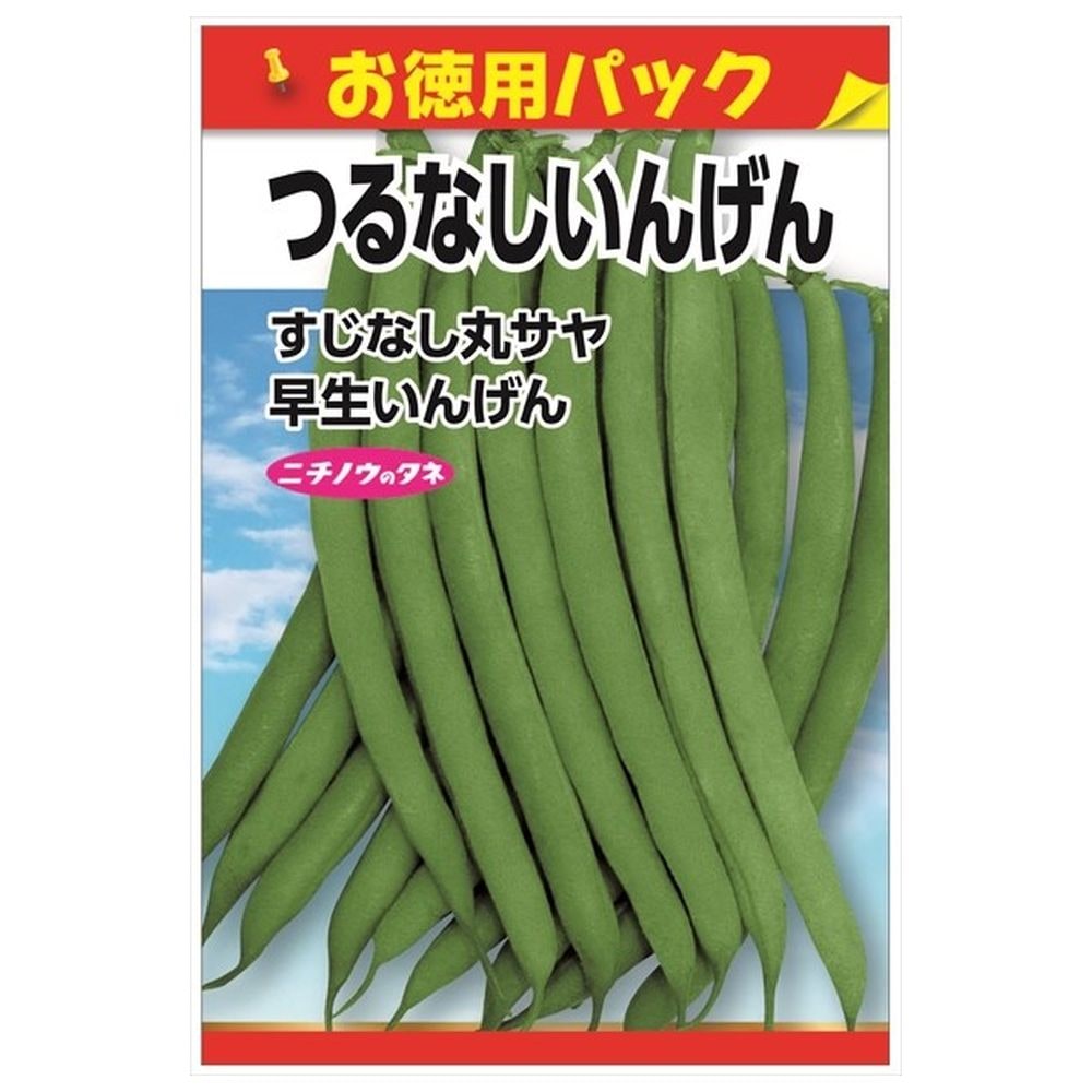 いんげん つるなしいんげん 