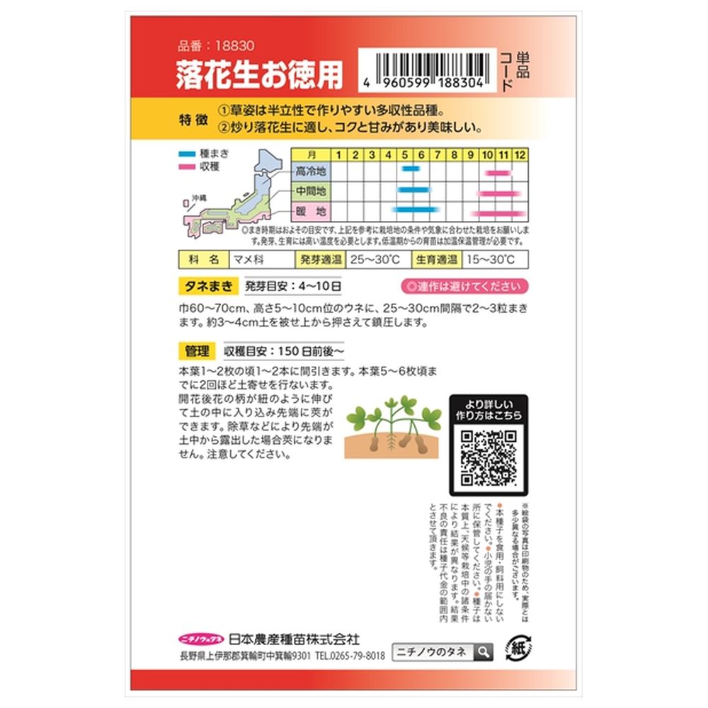 落花生 落花生 1