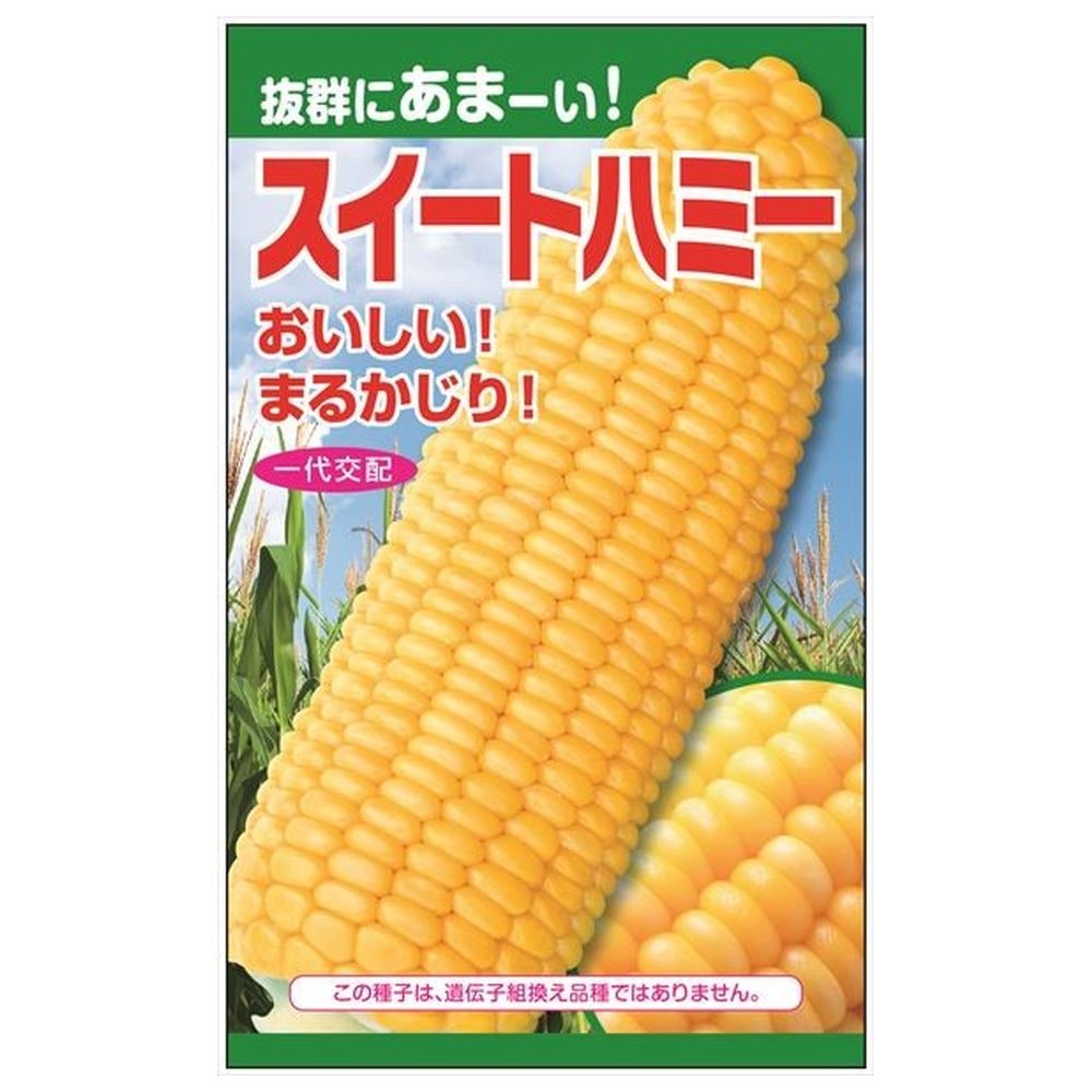 トウモロコシ スイートハミー 