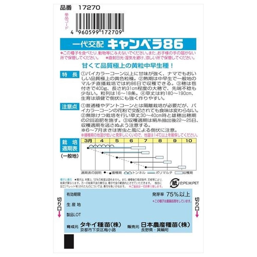 トウモロコシ キャンベラ86 1